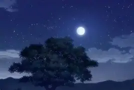 今晚本菲卡调整名单以备CBA季后赛，临场应变环节打磨，悬念犹存，临场指挥获称赞